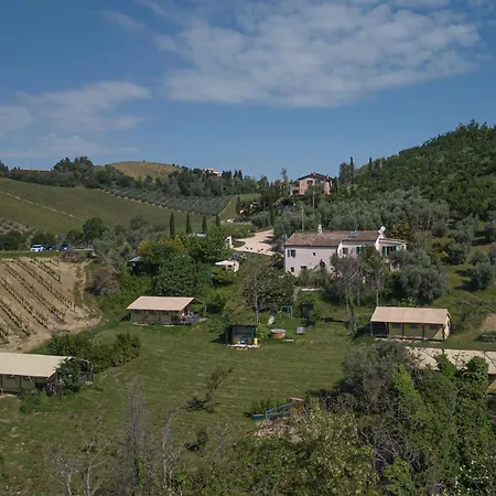 Angeli Sognanti * Cossignano