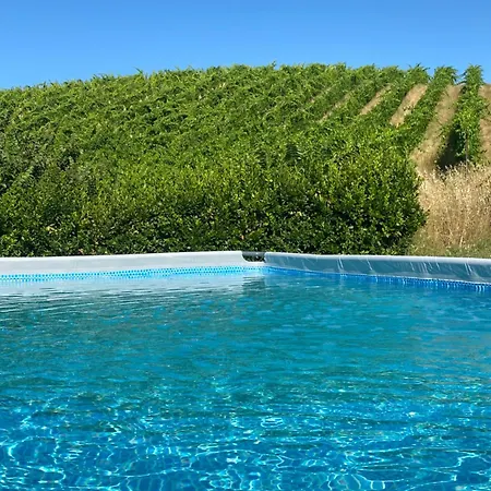 Angeli Sognanti Cossignano