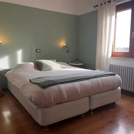 Angeli Sognanti Cossignano